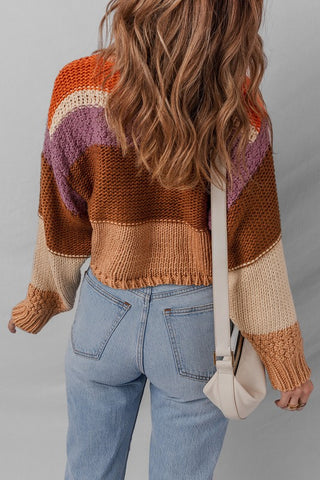 Soft Colors Knit Sweater