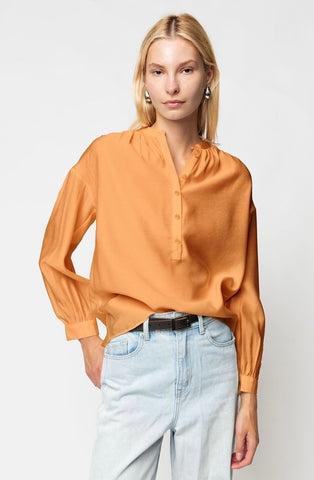 Classic button down blouse